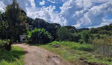 Chácara para Venda em Balsa Nova, São Caetano