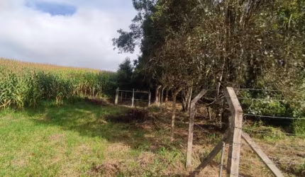 Chácara para Venda em Campo Largo, Retiro