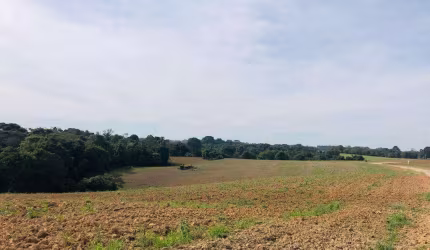 Chácara para Venda em Araucária, Capela Velha