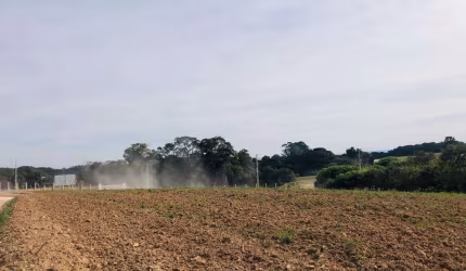 Chácara para Venda em Araucária, Capela Velha