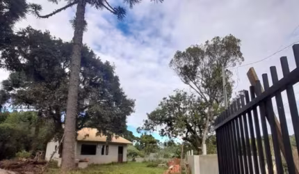 Chácara para Venda em Campo Largo, Itaqui de Cima, 3 dormitórios, 1 suíte, 1 banheiro, 2 vagas