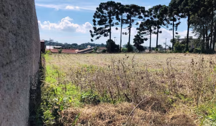 Terreno para Venda em Campo Largo, Loteamento São Gerônimo