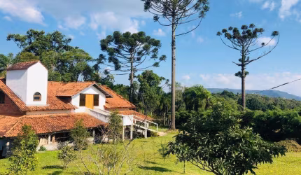 Chácara para Venda em Campo Largo, Felpudo