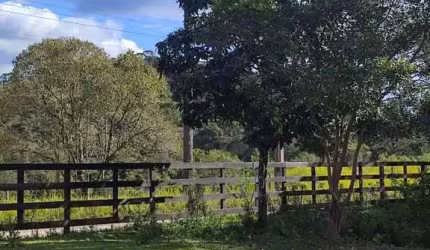 Chácara para Venda em Campo Largo, Felpudo