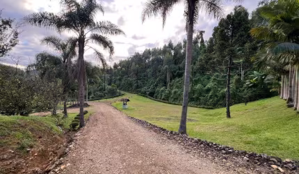 Chácara / Sítio em localização privilegiada no bairro Barra do Rio Cerro em Jaraguá do Sul