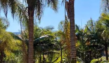 Casa à venda, 2 quartos, Três Rios do Norte - Jaraguá do Sul/SC