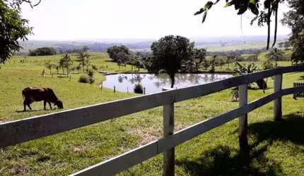 Sítio Rural à venda, Vila Rezende, Piracicaba - SI0011.
