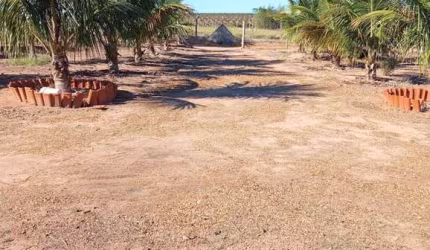 Chácara Rural à venda,  Anhembi - CH0242.