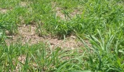 Terreno Residencial à venda, Centro, Charqueada - TE0088.