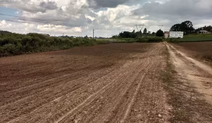 Terreno Industrial em frente Shopping City Center Outlet / Campo Largo