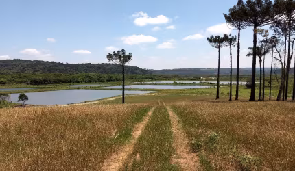 Lindo terreno para Chácara em Balsa Nova - 96.800,00 m²