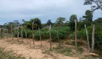 Amplo Terreno em Armação dos Búzios, Bairro Caravelas / Baía Formosa
