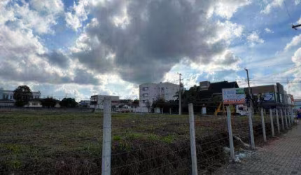 Terreno para alugar, 2100 m² - Jardim Paulista - Campina Grande do Sul/PR
