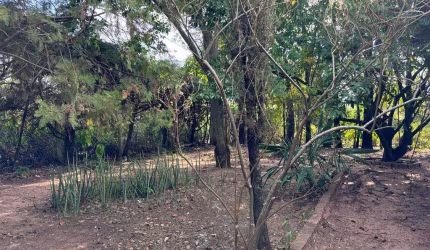 Chácara / sítio com 1 quarto à venda na Alameda Santa Carolina, Sítios de Recreio Santa Carolina, Marília por R$ 990.000
