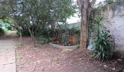Terreno 15x47 a venda no bairro Vila Gumercindo