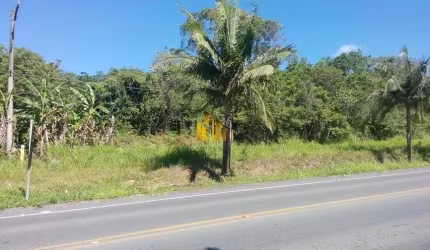 Rodovia SC-446 (Lote 17)
