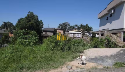 Rua Ferdinando Martinhago (Quadra C - Lote 06)