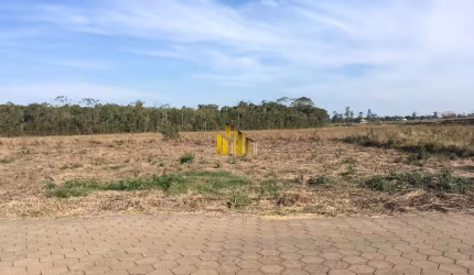 Rua Das Pitayas (Quadra 15 - Lote 07)