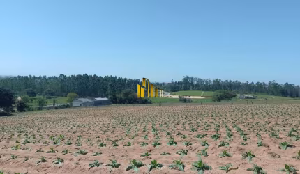 Terreno Rural