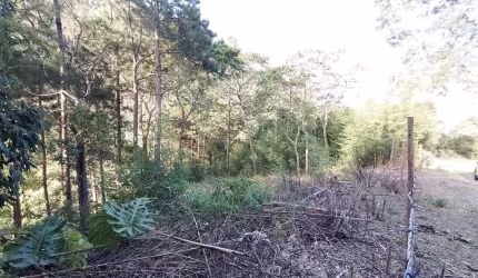 TERRENO À VENDA, 1530 M² POR R$ 260.000,00 - CASCATA DOS AMORES - TERESÓPOLIS/RJ