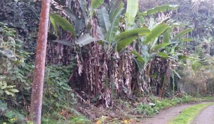 TERRENO À VENDA, 3880 M² POR R$ 250.000,00 - ALBUQUERQUE - TERESÓPOLIS/RJ