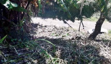 TERRENO À VENDA, 305 M² POR R$ 95.000,00 - PARQUE DO INGÁ - TERESÓPOLIS/RJ