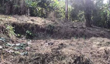 TERRENO À VENDA, 875 M² POR R$ 120.000,00 - CRUZEIRO - TERESÓPOLIS/RJ
