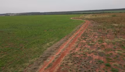 Arrendo 438ha a 30km de Campo Grande