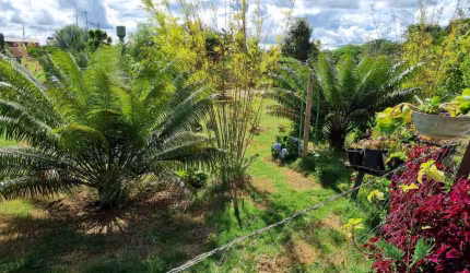Vendo Chácara em Abadiânia GO Chácara à Venda, 20000 por R$ 650.000 VN9781