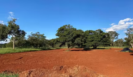 FAZENDA SANTA EDWIGES, LADO ESQUERDO SENTIDO NERÓPOLIS  Fazenda à Venda, 372680 por R$ 6.200.000 TA21444