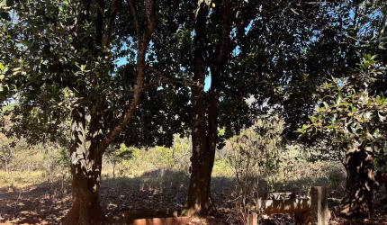 CHÁCARA / ÁREA Chácara à Venda, 8950 por R$ 1.127.700 AD22532