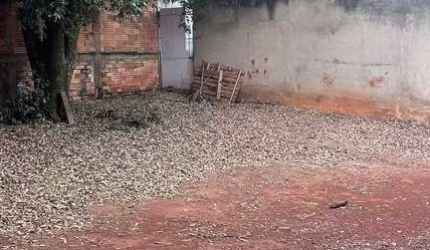 Lote Lote à Venda, 225.25 por R$ 150.000 no setor Setor Morada do Sol AD24124