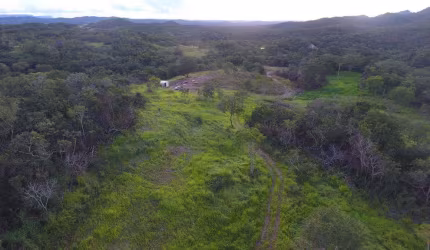Chácara cidade de Goiás Chácara à Venda, 338800 por R$ 1.100.000 TA24629