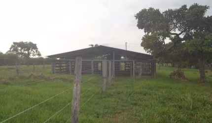 São Miguel do Passo Quatro Chácara à Venda, 3 por R$ 1.300.000 AD24794