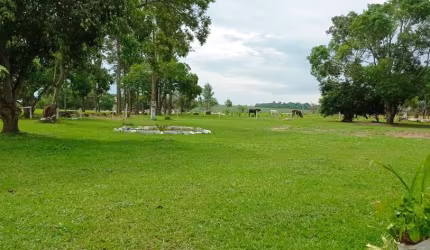 UMA LINDA CHACAR NO NOVO GAMA  Chácara à Venda, 72260 por R$ 1.700.000 IN25110