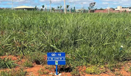 LOTE JARDIM PARMA  Lote à Venda, 403.75 por R$ 403.750 no setor Jardins Parma ST26298