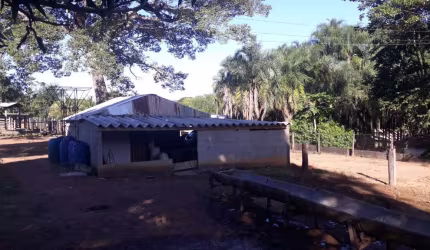 FAZENDA - 22 ALQ EM CEZARINA - GOIAS  Fazenda à Venda, 1064800 por R$ 12.000.000 IN28276