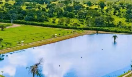 lote em trindade Área / Terreno à Venda, 1036.12 por R$ 235.000 no setor Setor Dona Iris II SL29125