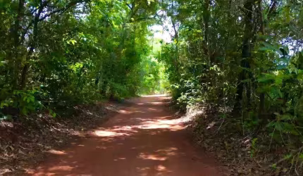 CHÁCARA - BELA VISTA DE GOIÁS Chácara à Venda, 27500 por R$ 429.000 ST29282