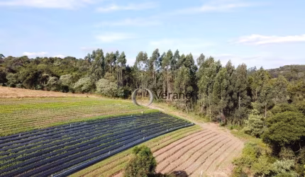 Sítio à venda, 212000 m² por R$ 500.000,00 - Sarapui de Cima - Piedade/SP