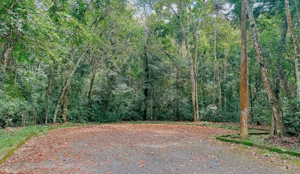 13 Lotes Sausalito lado a lado | 25000mt2 |