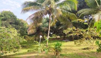 Sítio com 4 dormitórios à venda, 27000 m² por R$ 350.000,00 - Monte Gordo - Camaçari/BA