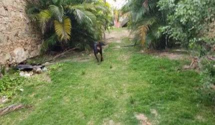 Terreno à venda, 1350 m² por R$ 950.000,00 - Ribeira - Salvador/BA
