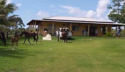 Sítio com 4 dormitórios à venda, 40000 m² por R$ 1.100.000,00 - Barra do Pojuca - Camaçari/BA