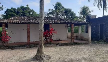 Sítio com 4 dormitórios à venda, 20000 m² por R$ 550.000,00 - Catu de Abrantes - Camaçari/BA