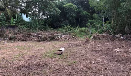Terreno à venda, 750 m² por R$ 375.000,00 - Jardim das Margaridas - Salvador/BA