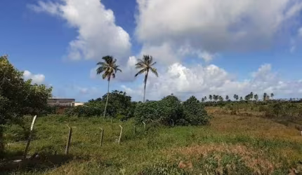 Terreno à venda, 1800 m² por R$ 1.350.000,00 - Arembepe - Camaçari/BA