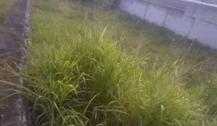 Terreno à venda, 818 m² por R$ 1.000.000,00 - Pernambués - Salvador/BA