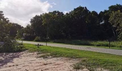 Terreno à venda, 600 m² por R$ 895.000,00 - Acú da Torre - Mata de São João/BA