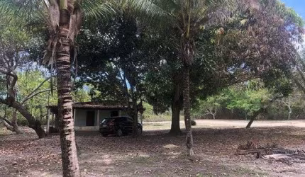 Sítio à venda, 85000 m² por R$ 350.000,00 - Camaçari - Camaçari/BA
